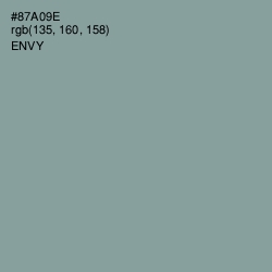 #87A09E - Envy Color Image