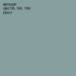 #87A09F - Envy Color Image