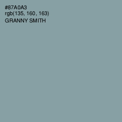 #87A0A3 - Granny Smith Color Image