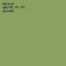 #87A161 - Olivine Color Image