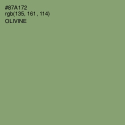 #87A172 - Olivine Color Image
