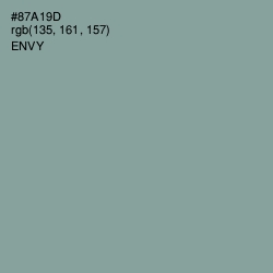 #87A19D - Envy Color Image