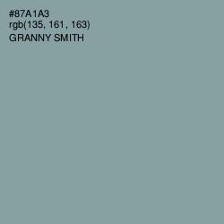 #87A1A3 - Granny Smith Color Image