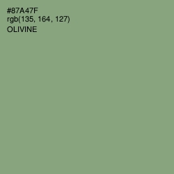 #87A47F - Olivine Color Image