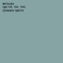 #87A4A4 - Granny Smith Color Image