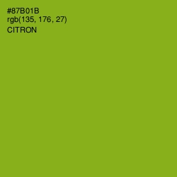 #87B01B - Citron Color Image