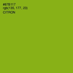 #87B117 - Citron Color Image