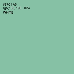 #87C1A5 - Shadow Green Color Image