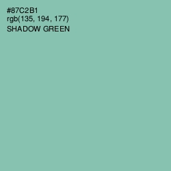 #87C2B1 - Shadow Green Color Image