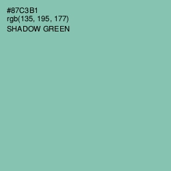 #87C3B1 - Shadow Green Color Image