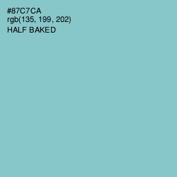 #87C7CA - Half Baked Color Image