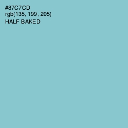 #87C7CD - Half Baked Color Image