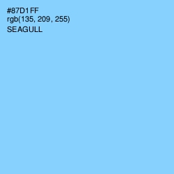 #87D1FF - Seagull Color Image