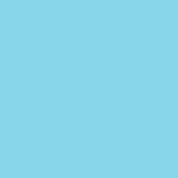 #87D6E9 - Seagull Color Image