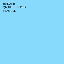 #87DAFB - Seagull Color Image