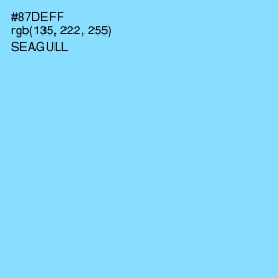 #87DEFF - Seagull Color Image