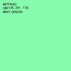 #87FBAD - Mint Green Color Image
