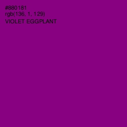 #880181 - Violet Eggplant Color Image