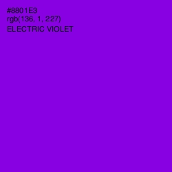 #8801E3 - Electric Violet Color Image