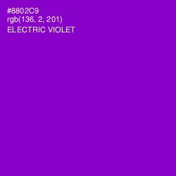 #8802C9 - Electric Violet Color Image