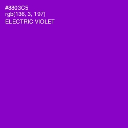 #8803C5 - Electric Violet Color Image