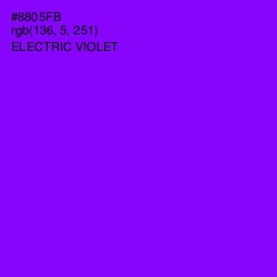 #8805FB - Electric Violet Color Image