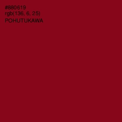 #880619 - Pohutukawa Color Image