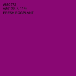 #880772 - Fresh Eggplant Color Image