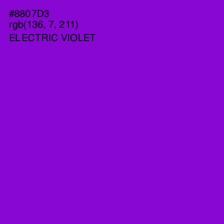 #8807D3 - Electric Violet Color Image