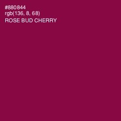 #880844 - Rose Bud Cherry Color Image