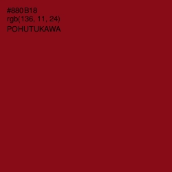 #880B18 - Pohutukawa Color Image