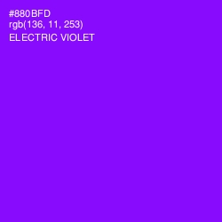 #880BFD - Electric Violet Color Image