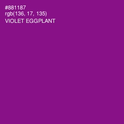 #881187 - Violet Eggplant Color Image