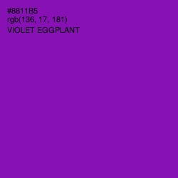 #8811B5 - Violet Eggplant Color Image