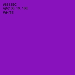 #8813BC - Violet Eggplant Color Image