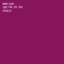 #88145D - Disco Color Image