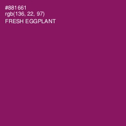 #881661 - Fresh Eggplant Color Image