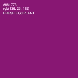 #881773 - Fresh Eggplant Color Image