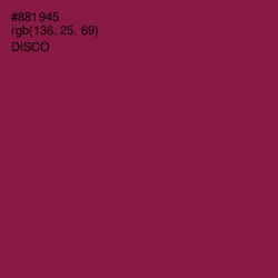 #881945 - Disco Color Image