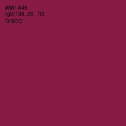 #881A46 - Disco Color Image