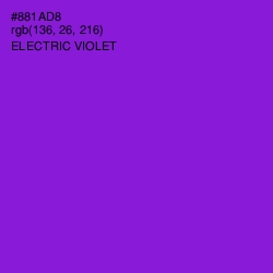 #881AD8 - Electric Violet Color Image