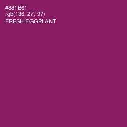 #881B61 - Fresh Eggplant Color Image