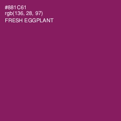 #881C61 - Fresh Eggplant Color Image