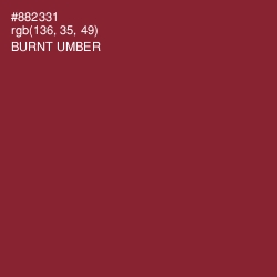 #882331 - Burnt Umber Color Image