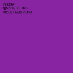 #8823A1 - Violet Eggplant Color Image