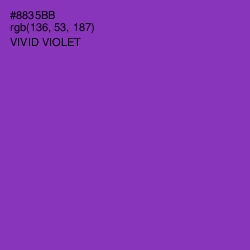 #8835BB - Vivid Violet Color Image