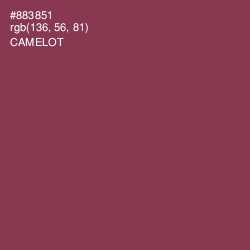#883851 - Camelot Color Image