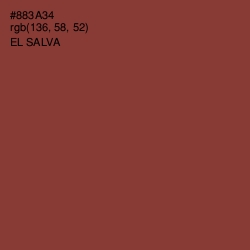 #883A34 - El Salva Color Image