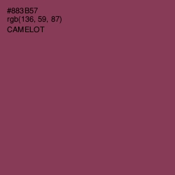 #883B57 - Camelot Color Image