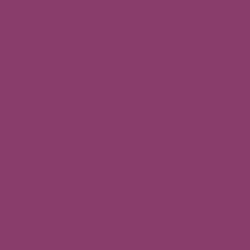 #883D6B - Plum Color Image